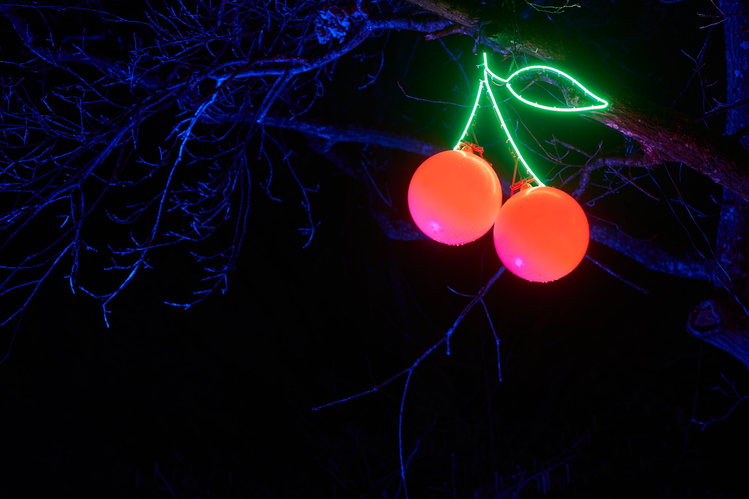 2024 02 23 Parkleuchten 0214